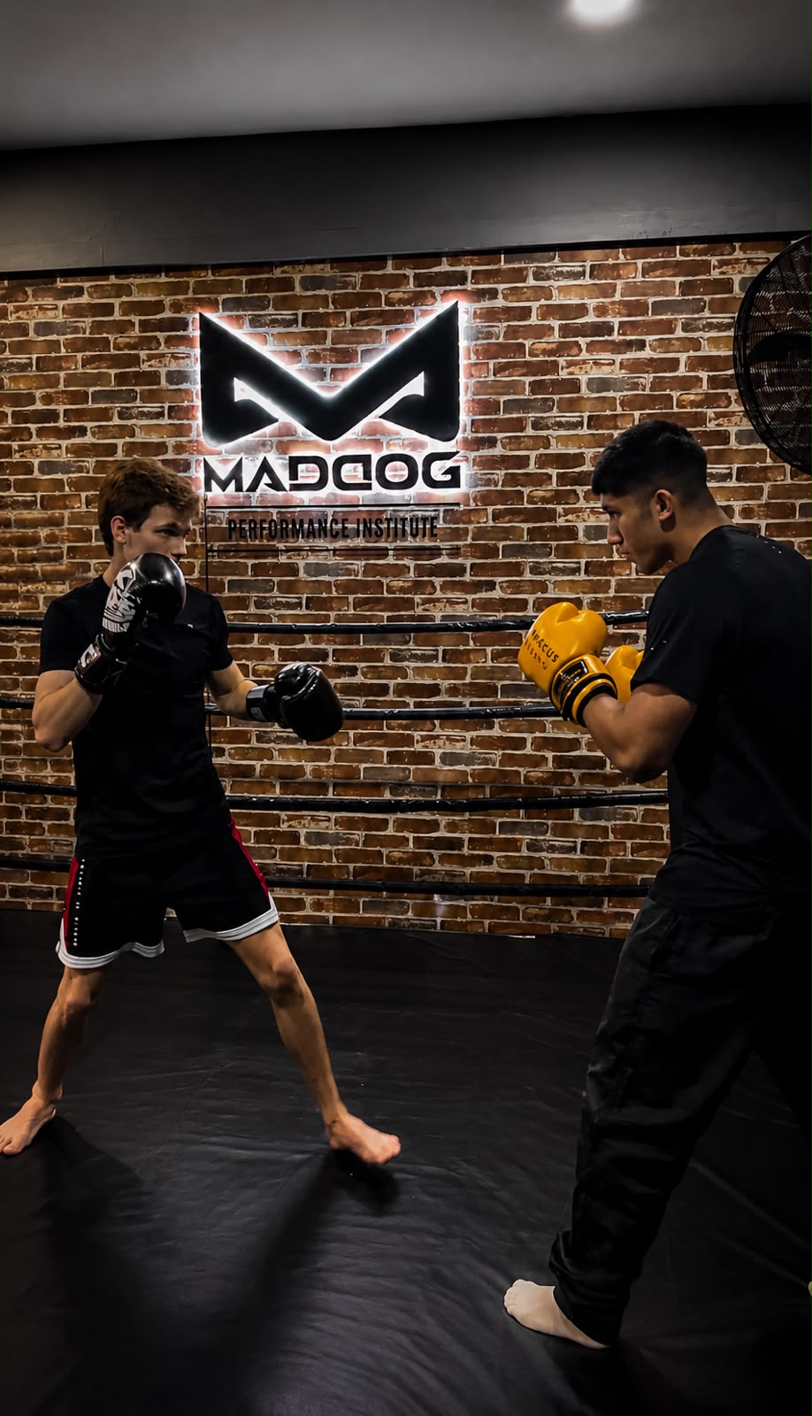 Boxing training at Maddog Performance Institute