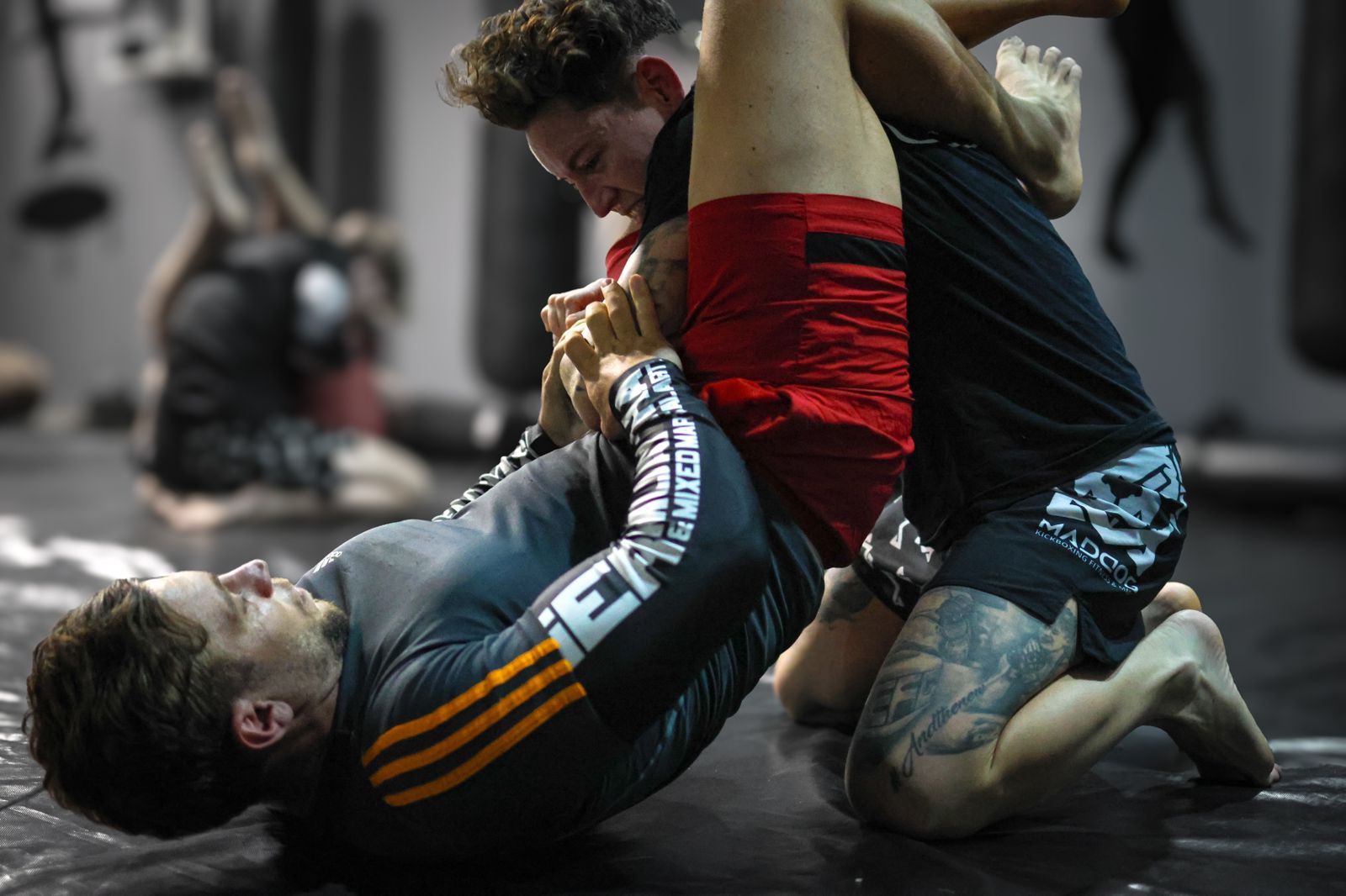 Maddog Performance Institute
